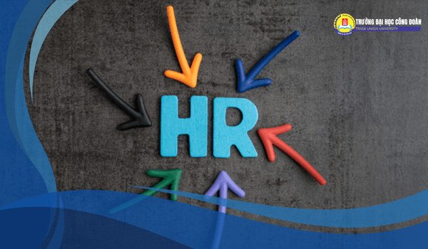 Featured image for: HR là ngành gì? Giải mã ngành học của con người và chiến lược